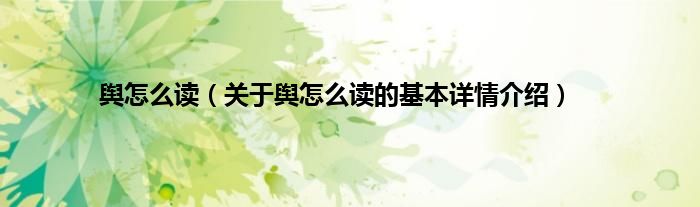 舆怎么读（关于舆怎么读的基本详情介绍）