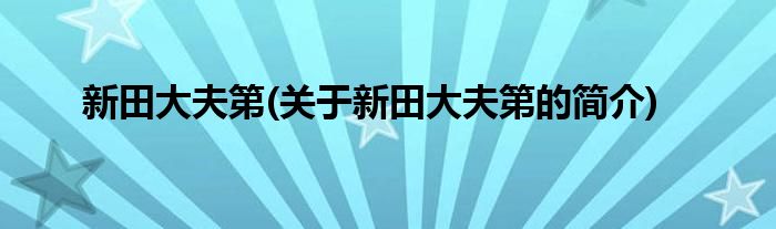新田大夫第(关于新田大夫第的简介)