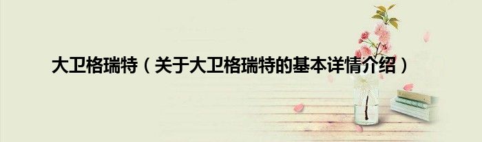 大卫格瑞特（关于大卫格瑞特的基本详情介绍）