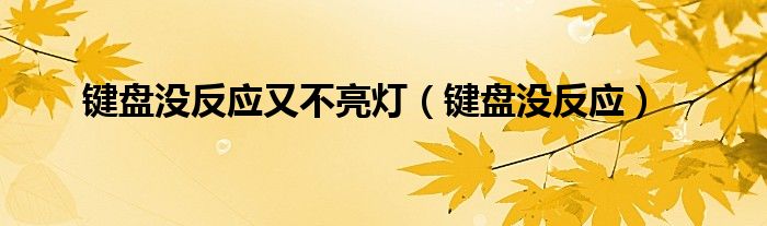 键盘没反应又不亮灯（键盘没反应）