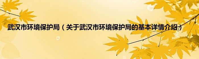 武汉市环境保护局（关于武汉市环境保护局的基本详情介绍）