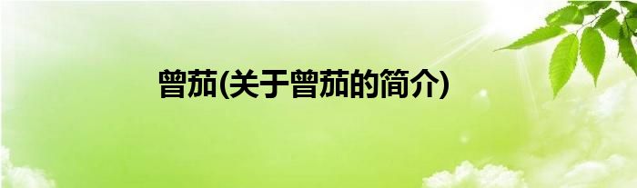 曾茄(关于曾茄的简介)