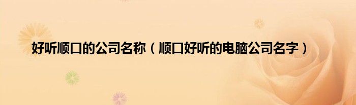 好听顺口的公司名称（顺口好听的电脑公司名字）