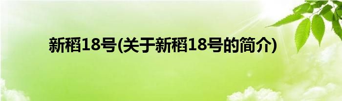 新稻18号(关于新稻18号的简介)