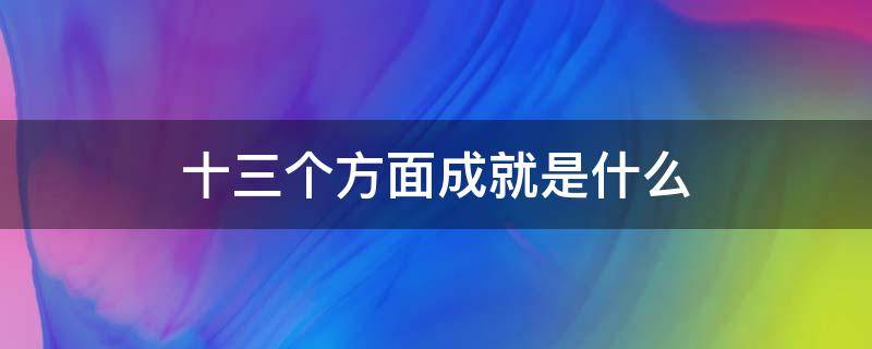 十三个方面成就是什么
