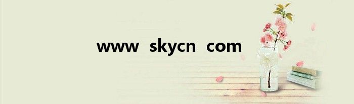 www  skycn  com