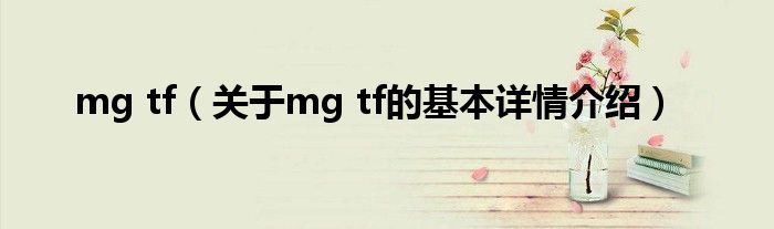 mg tf（关于mg tf的基本详情介绍）