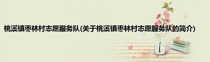 桃溪镇枣林村志愿服务队(关于桃溪镇枣林村志愿服务队的简介)