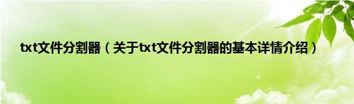 txt文件分割器（关于txt文件分割器的基本详情介绍）