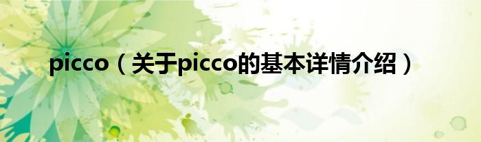 picco（关于picco的基本详情介绍）