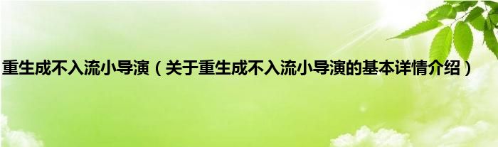 重生成不入流小导演（关于重生成不入流小导演的基本详情介绍）