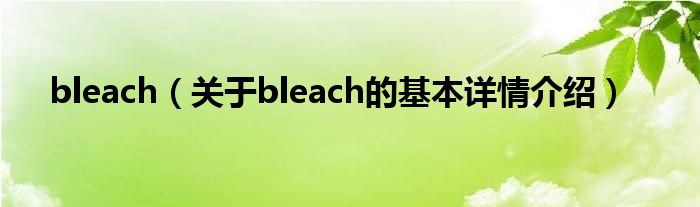 bleach（关于bleach的基本详情介绍）