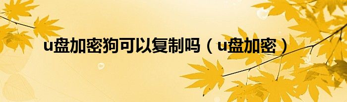 u盘加密狗可以复制吗（u盘加密）