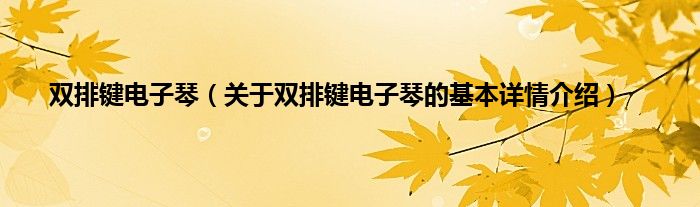 双排键电子琴（关于双排键电子琴的基本详情介绍）