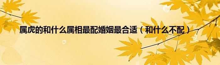 属虎的和什么属相最配婚姻最合适（和什么不配）