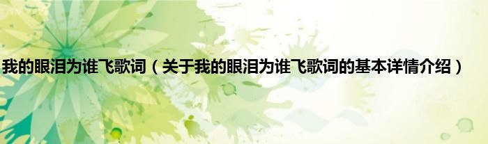 我的眼泪为谁飞歌词（关于我的眼泪为谁飞歌词的基本详情介绍）