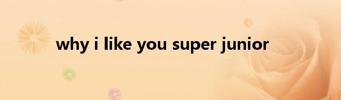 why i like you super junior