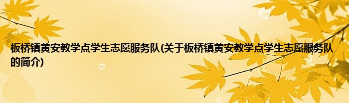 板桥镇黄安教学点学生志愿服务队(关于板桥镇黄安教学点学生志愿服务队的简介)
