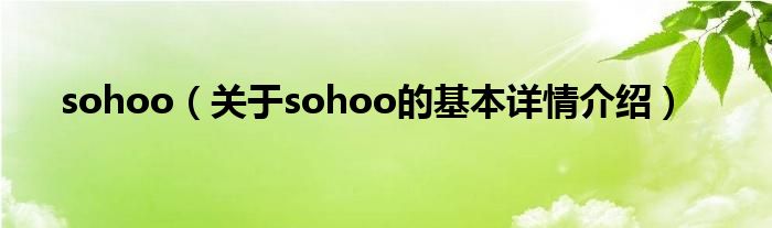 sohoo（关于sohoo的基本详情介绍）