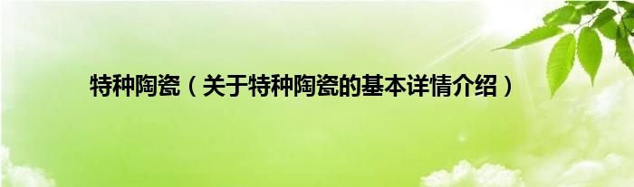 特种陶瓷（关于特种陶瓷的基本详情介绍）