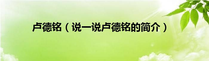 卢德铭（说一说卢德铭的简介）