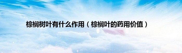 棕榈树叶有什么作用（棕榈叶的药用价值）