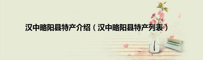 汉中略阳县特产介绍（汉中略阳县特产列表）