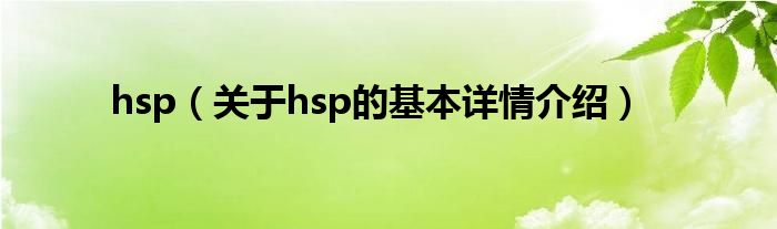 hsp（关于hsp的基本详情介绍）