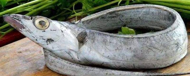 炸过带鱼的油怎么除腥味