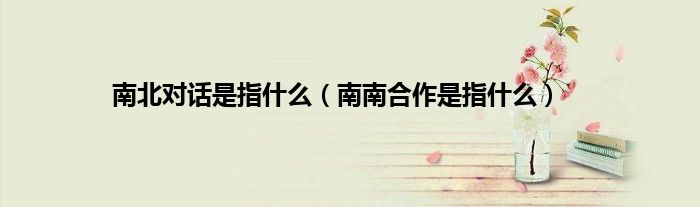 南北对话是指什么（南南合作是指什么）
