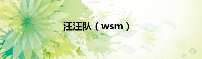 汪汪队（wsm）