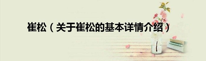 崔松（关于崔松的基本详情介绍）