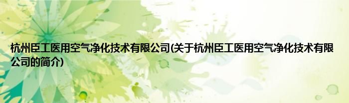 杭州臣工医用空气净化技术有限公司(关于杭州臣工医用空气净化技术有限公司的简介)