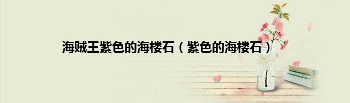 海贼王紫色的海楼石（紫色的海楼石）