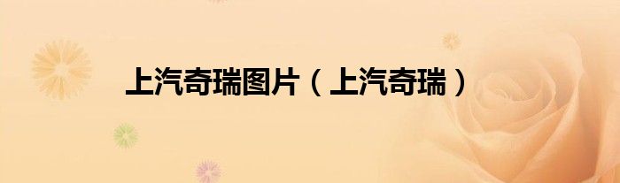 上汽奇瑞图片（上汽奇瑞）