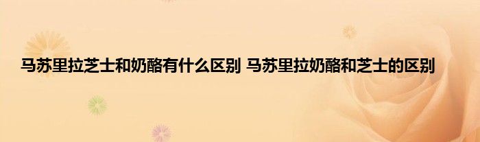 马苏里拉芝士和奶酪有什么区别 马苏里拉奶酪和芝士的区别