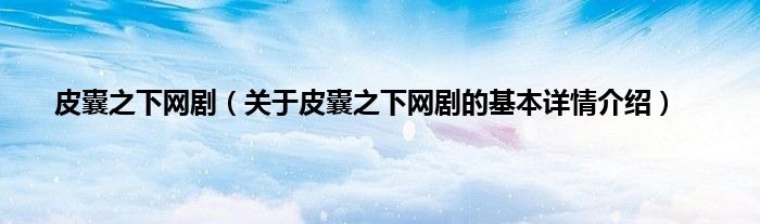 皮囊之下网剧（关于皮囊之下网剧的基本详情介绍）