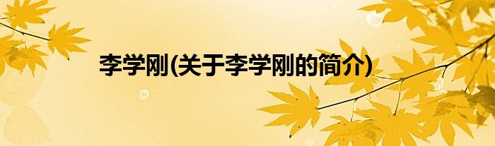 李学刚(关于李学刚的简介)