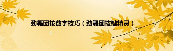劲舞团按数字技巧（劲舞团按键精灵）