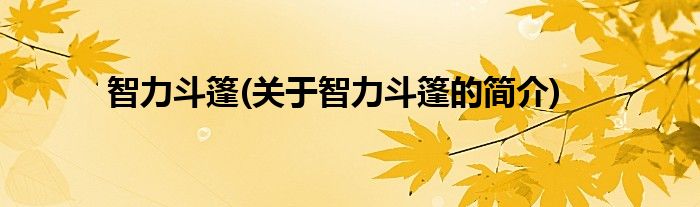 智力斗篷(关于智力斗篷的简介)