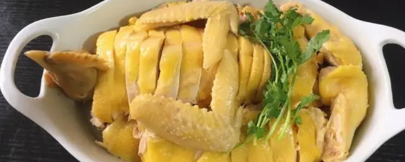 体检前一天可以吃白切鸡吗