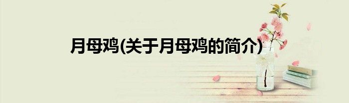 月母鸡(关于月母鸡的简介)