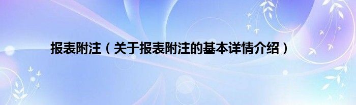 报表附注（关于报表附注的基本详情介绍）