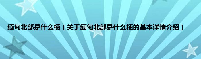 缅甸北部是什么梗（关于缅甸北部是什么梗的基本详情介绍）