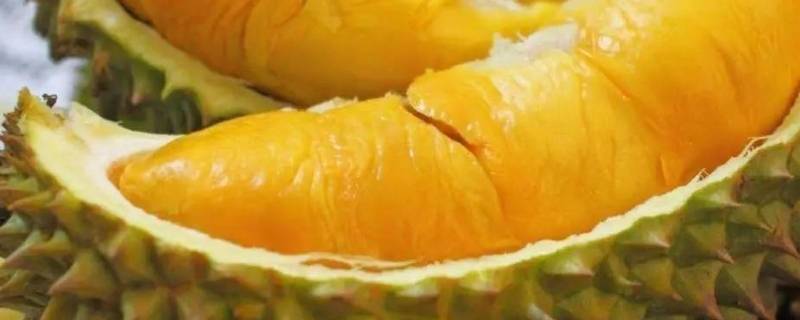 青妮王榴莲怎么判断生熟