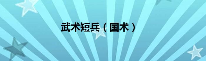 武术短兵（国术）