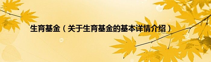 生育基金（关于生育基金的基本详情介绍）
