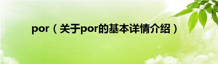 por（关于por的基本详情介绍）