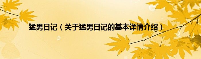 猛男日记（关于猛男日记的基本详情介绍）