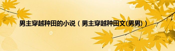 男主穿越种田的小说（男主穿越种田文(男男)）